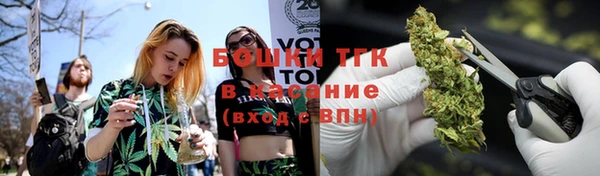 сатива Михайловск