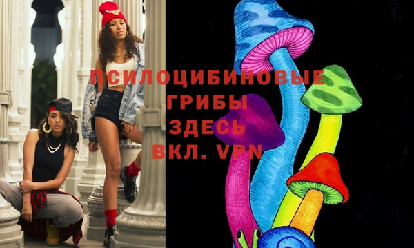 сатива Михайловск