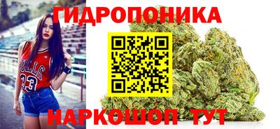 jwh Гай