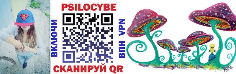Псилоцибиновые грибы Psilocybe Кимовск