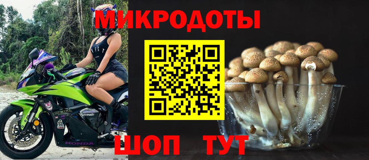 Псилоцибиновые грибы Cubensis Кимовск