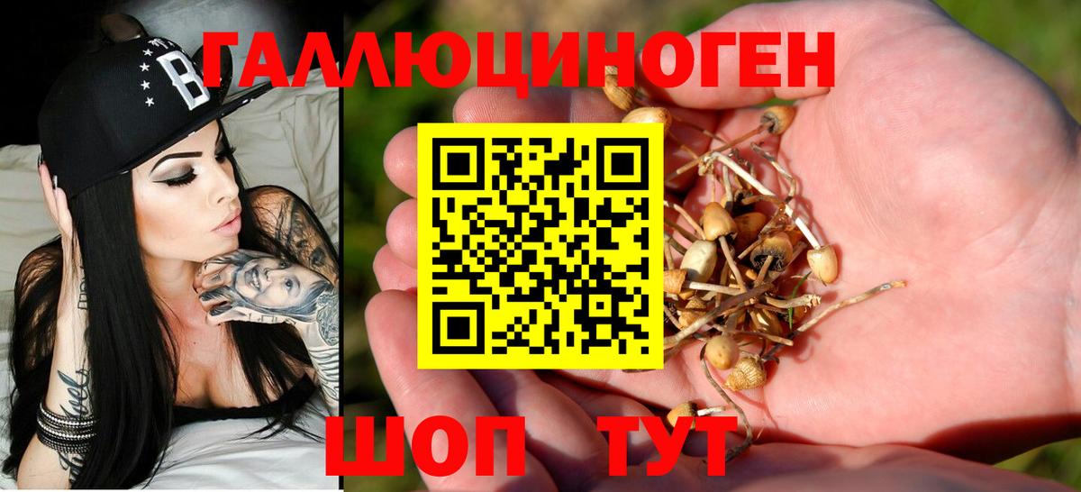 Галлюциногенные грибы Cubensis  Вход с VPN  закладки  Кимовск 